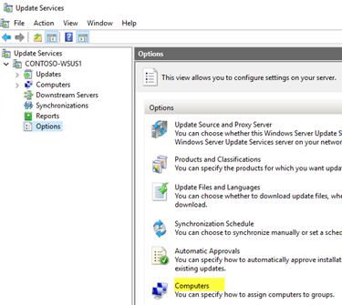 Windows software update services download
